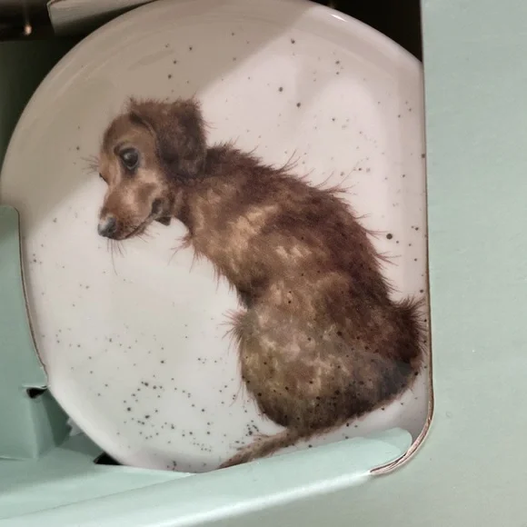 NWT.  Royal Worcester, mug and coaster set. - Picture 5 of 9